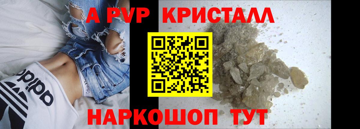 APVP СК Бердск