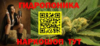 гашик Боровичи