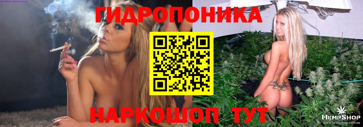 Канабис White Widow  Бошки Шишки сатива  Вход с VPN  Бердск  Бошки Шишки план  Бошки Шишки THC 21% 